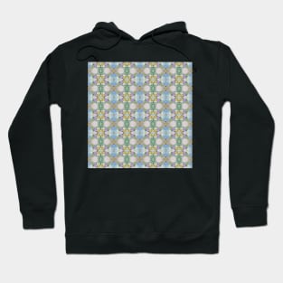 aquarius 4 Hoodie